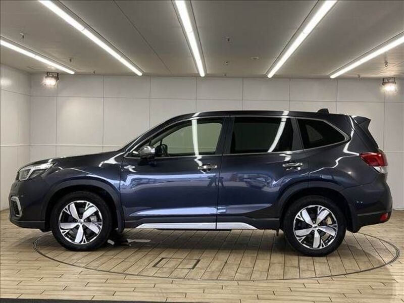 FORESTER
