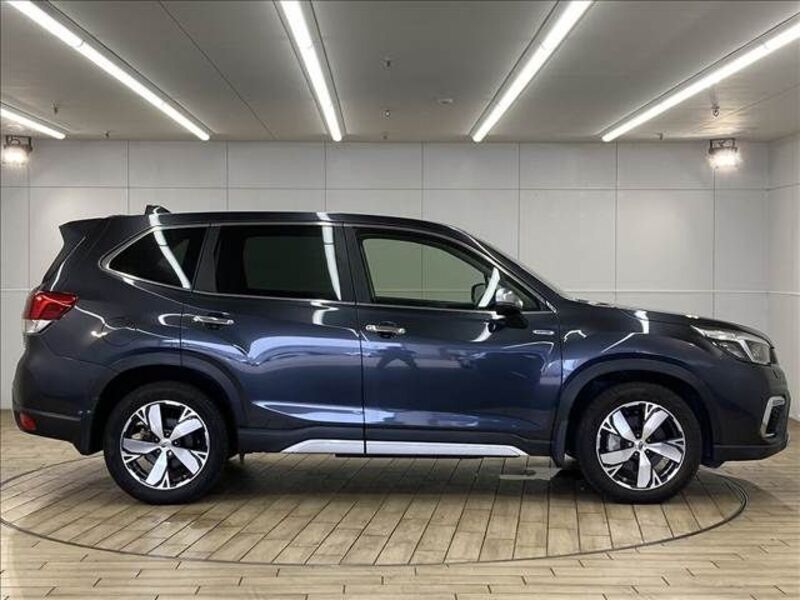 FORESTER