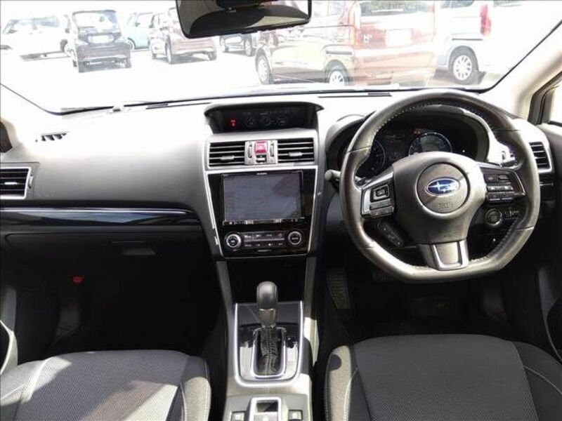 LEVORG