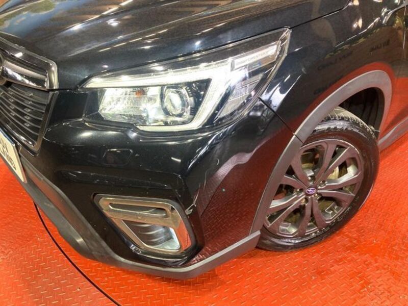 FORESTER