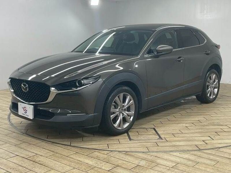 CX-30