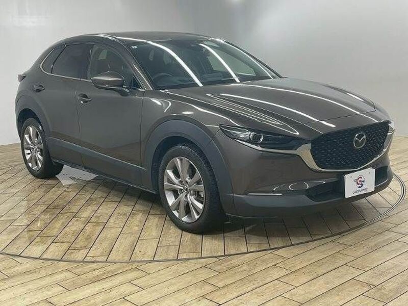CX-30