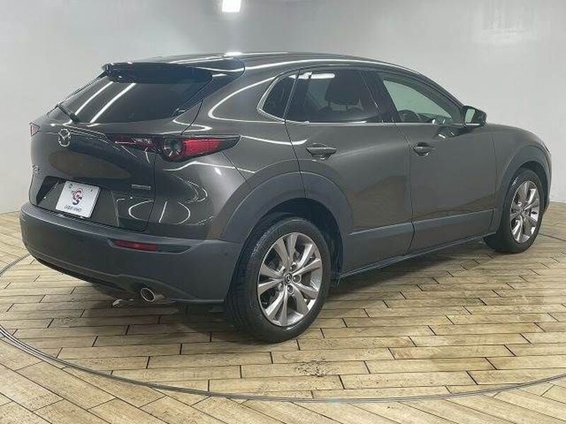 CX-30