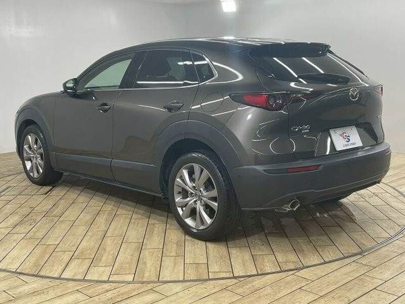 CX-30
