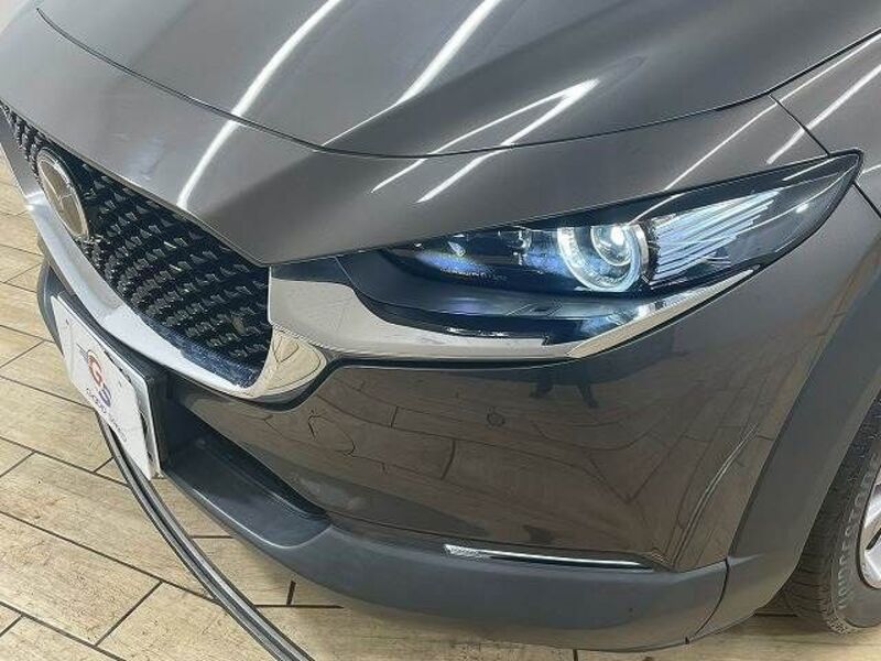 CX-30