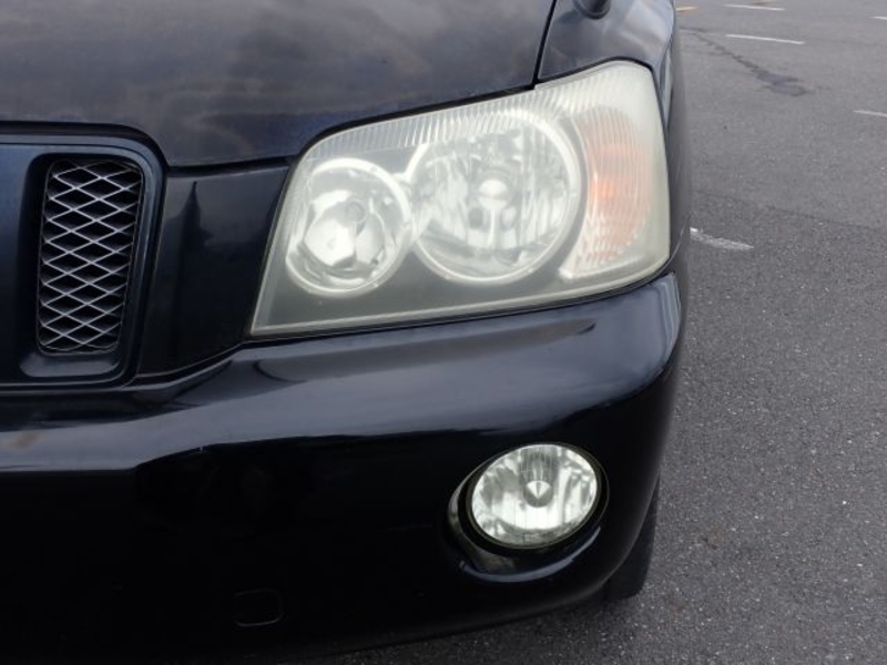 KLUGER L