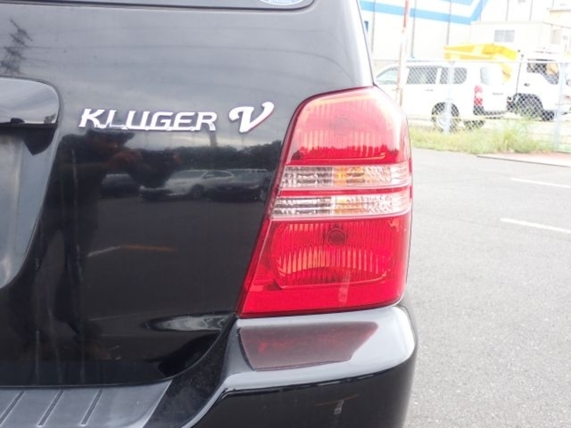 KLUGER L