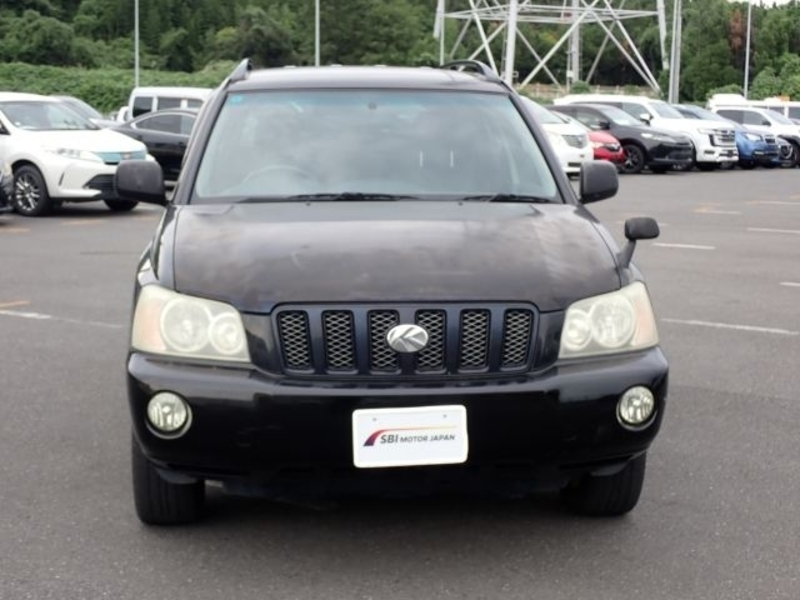 KLUGER L