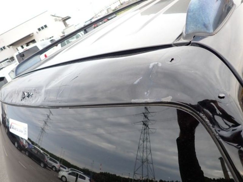 KLUGER L
