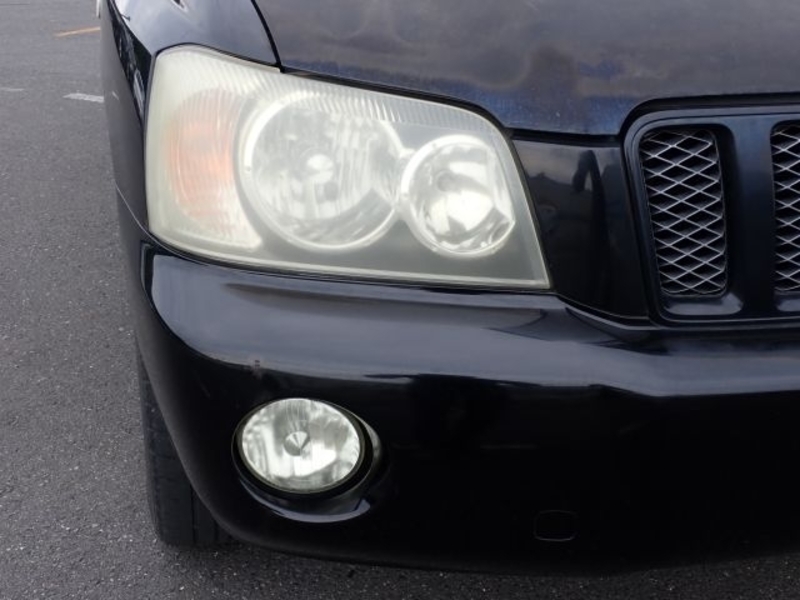 KLUGER L