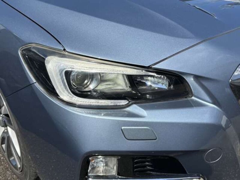 LEVORG