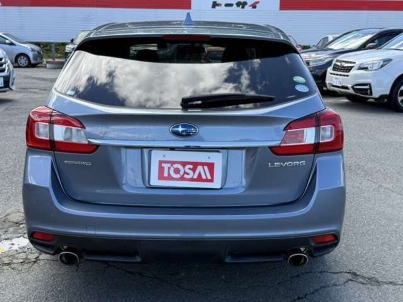 LEVORG