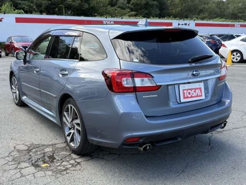 LEVORG