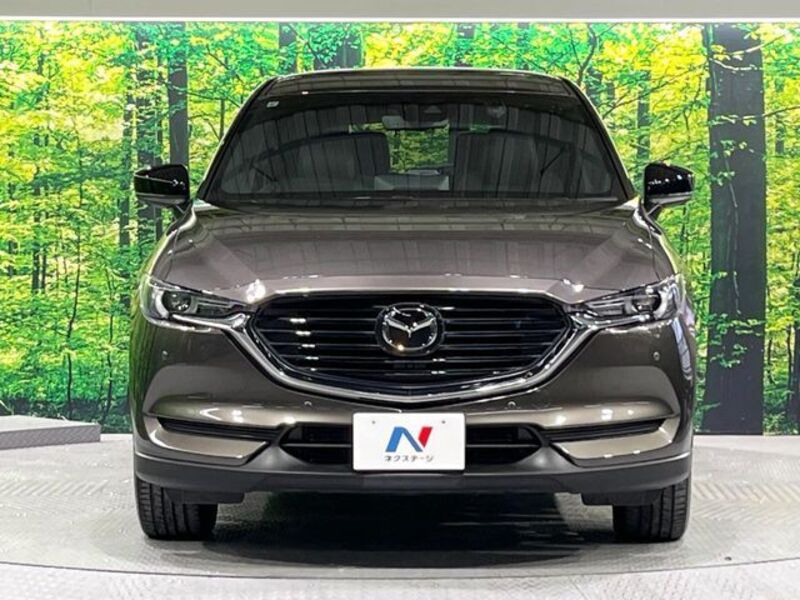 CX-8
