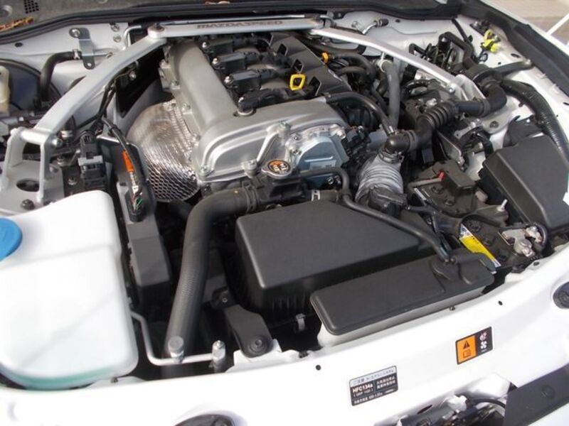 ROADSTER RF