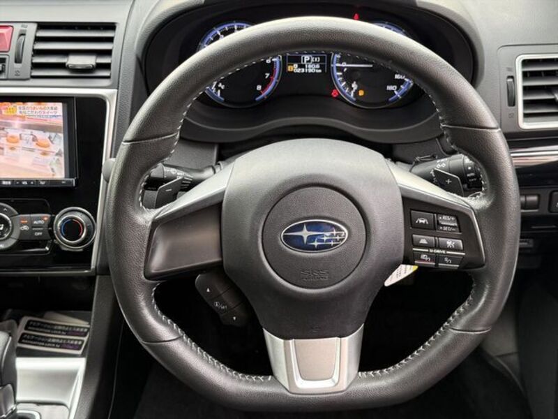 LEVORG
