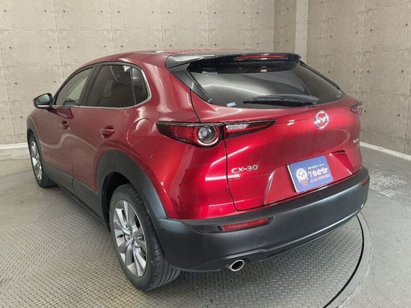 CX-30