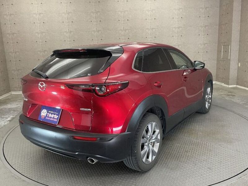 CX-30