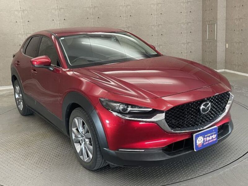 CX-30