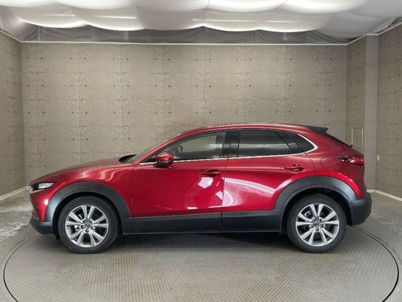 CX-30