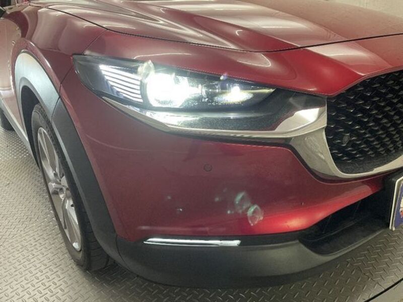 CX-30
