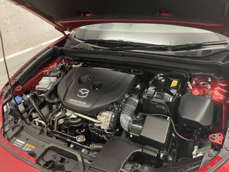 CX-30