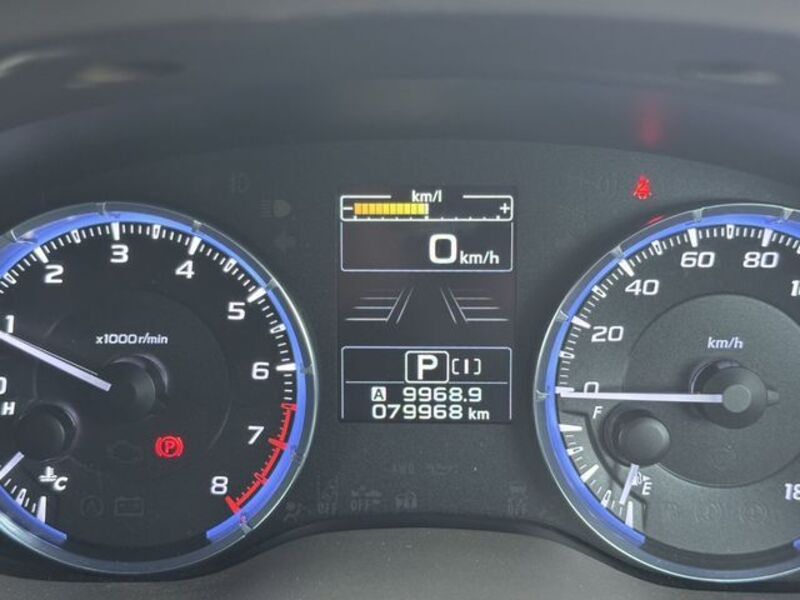 LEVORG