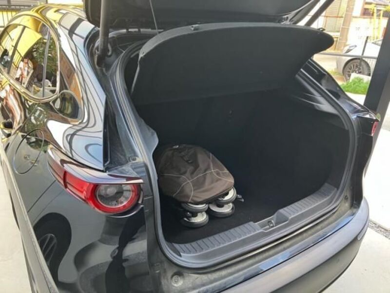 CX-30