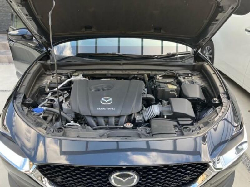 CX-30