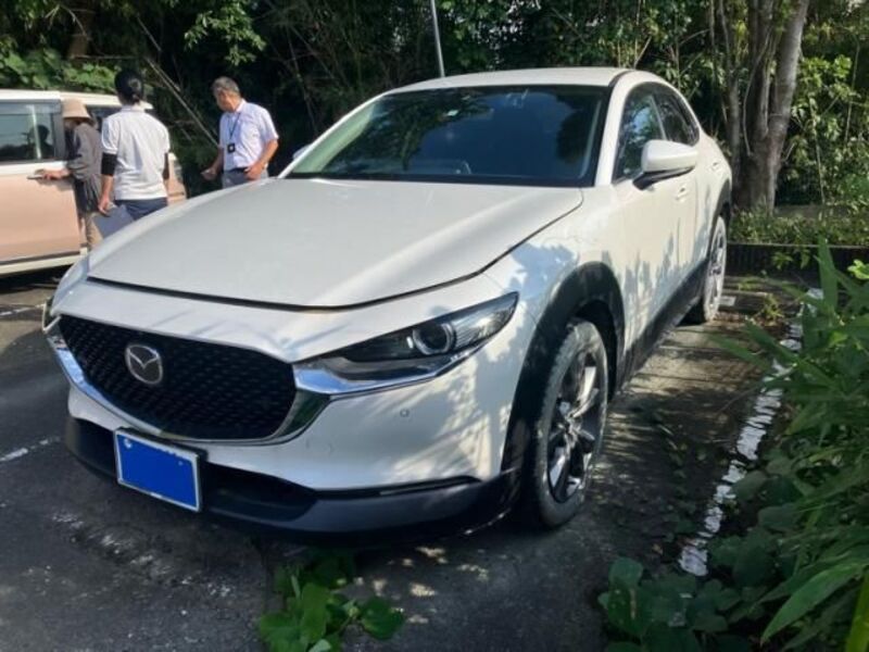 CX-30