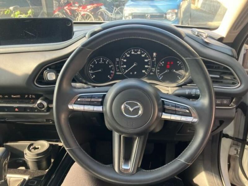 CX-30