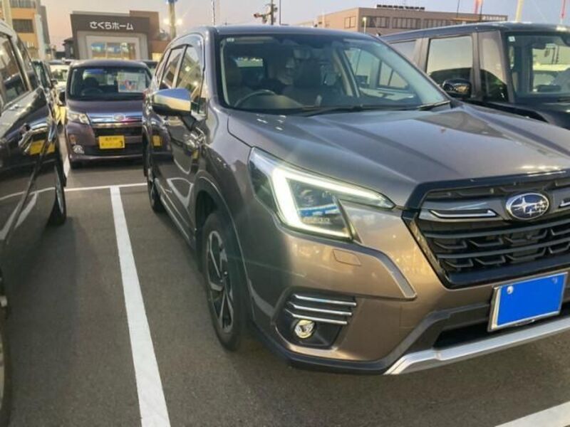 FORESTER
