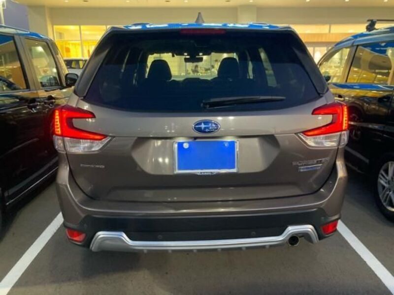 FORESTER