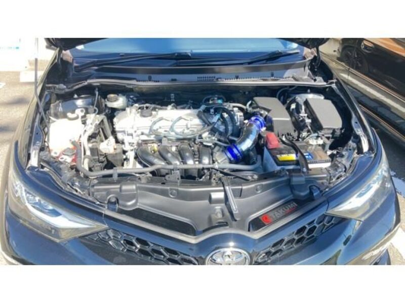 AURIS