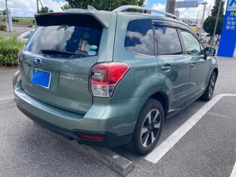 FORESTER