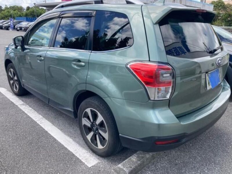 FORESTER