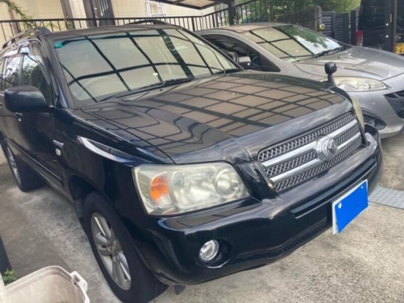 KLUGER HYBRID