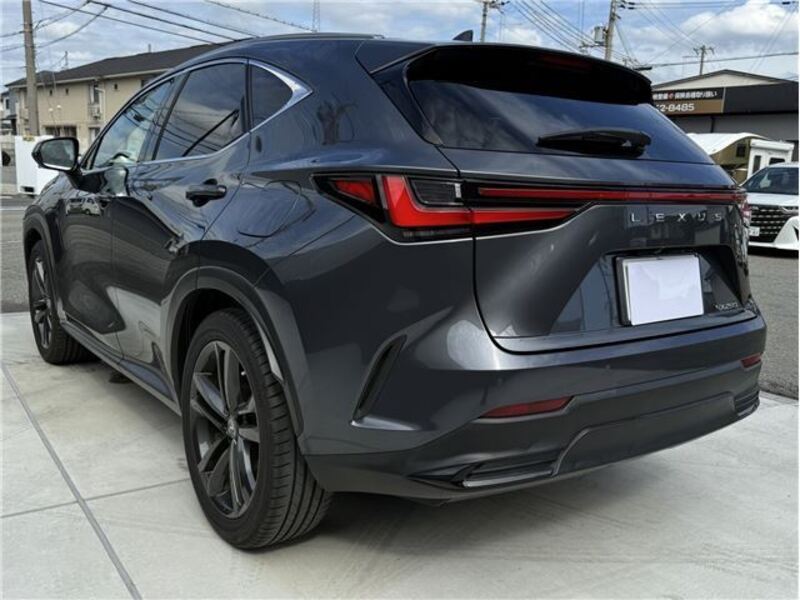 NX