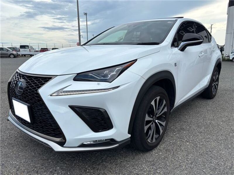NX