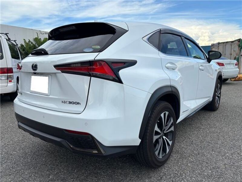 NX
