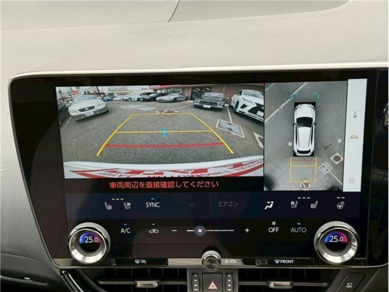 NX