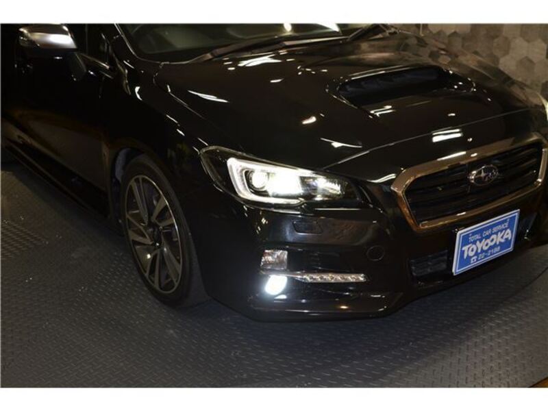 LEVORG