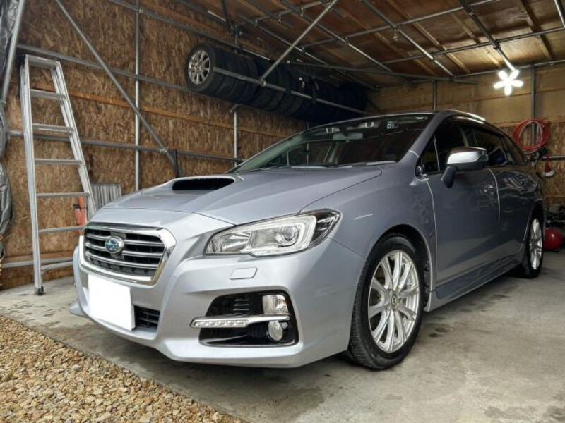 LEVORG-0