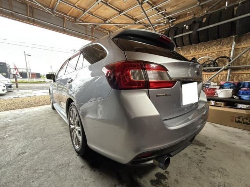 LEVORG