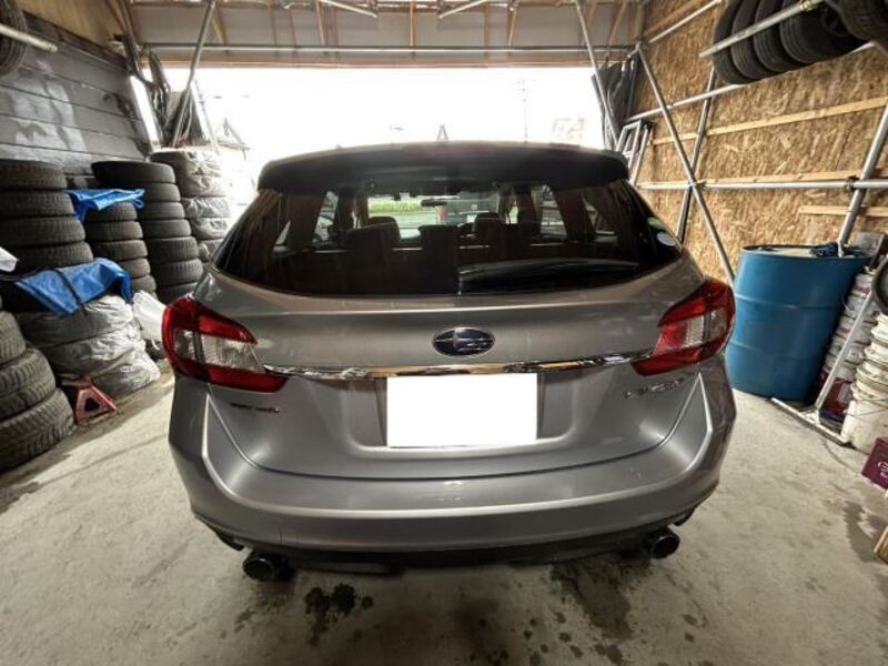 LEVORG