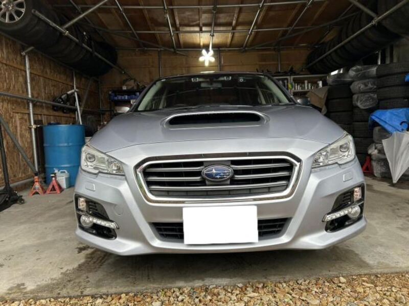 LEVORG