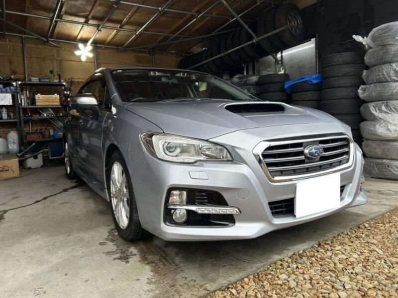 LEVORG