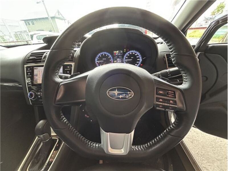 LEVORG