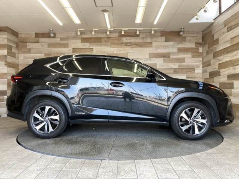 NX