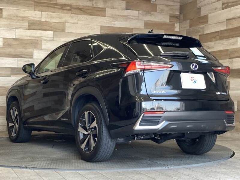 NX